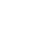 Ton Tomaž Šinko s.p.