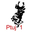 Društvo Kurenti Ptuj 1