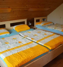 Prenočišča Bohinjska Bistrica