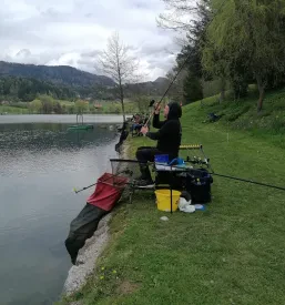RD Ptuj, Podravje