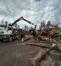Obdelava lesa, lepljenje lesa Koroška