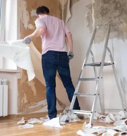 Stenske obloge Prekmurje