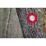 Planinsko društvo Železar Štore