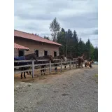 Konjeniški klub Rojnik