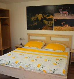 Ugodna prenočišča Savica
