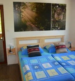 Apartma Savica