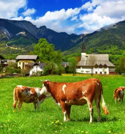 Kmečki turizem z nastanitvijo Posavje
