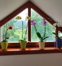 Ugoden apartma za družino Zgornje Gorje, Bled