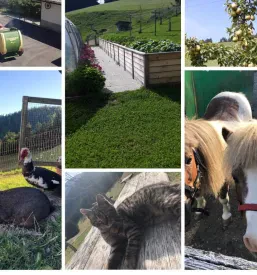 Povezovanje mladih na podeželju Črna na Koroškem