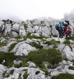 Članarina Planinsko društvo Novo mesto