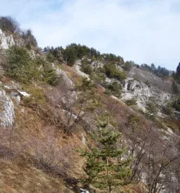 Planinski izleti Štajerska