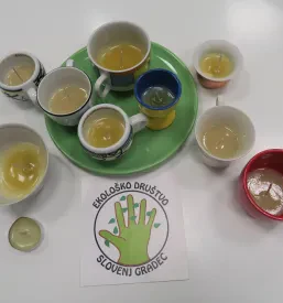 Eko društvo v Slovenj Gradcu