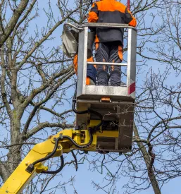 Varstvo pri delu na višini