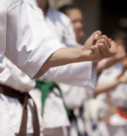 Karate klub za otroke Logatec