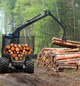 Posek in spravilo lesa Tržič