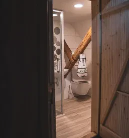 rooms to rent in Bohinj