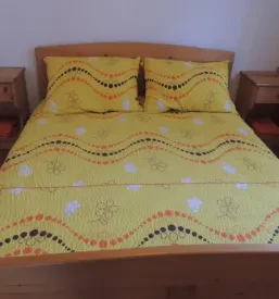 Apartma Soča