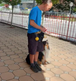 Pasja šola Trbovlje
