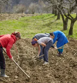 Tečaji za kmečke žene Ptuj