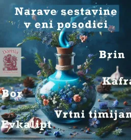 Ponudba naravne kozmetike Ljubljana