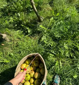 Obisk turistične kmetije Žiri, okolica