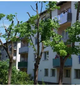 Prodaja izdelkov za zaščito gozdov v Sloveniji