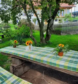 Priljubljena turistična kmetija z mlinom Celje