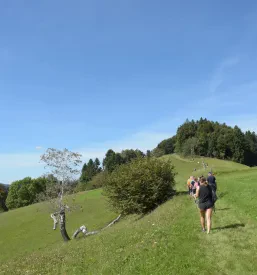Turizem Žiri
