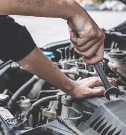 Servis motornih vozil Krško, okolica