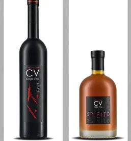 Vrhunska vina in vinska klet Colja na Krasu