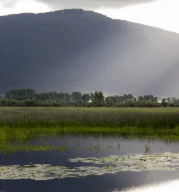 Vacation house Cerknica
