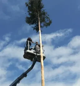 Ugodna izposoja dvižnih košar Ljubljana, Slovenija