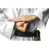 Nippon klub Krško