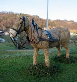 Društvo EDS