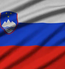 OZSČ Sežana, ZSČ