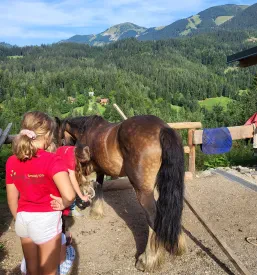 Življenje na kmetiji Jesenice