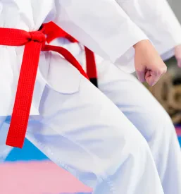 Karate Krško