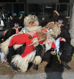 Kulturno društvo
