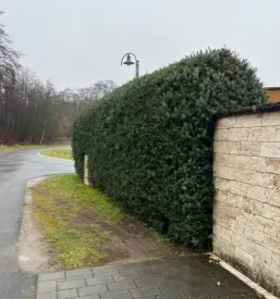 Obrezovanje meje okrog hiše