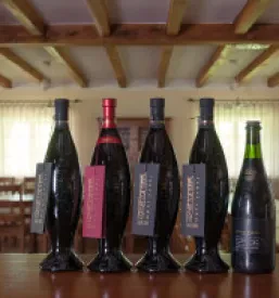 Najboljše domače rdeče vino Kras
