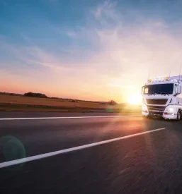 Trasporto internazionale di merci in Slovenia e Italia