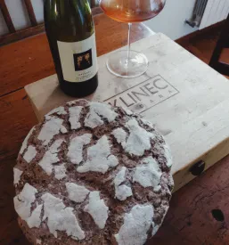 Ekološko vino in domače jedi Brda