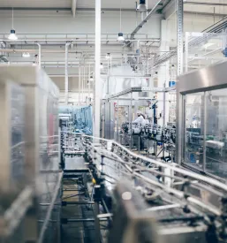Optimization of production and business processes Slovenia, EU