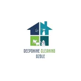 Deepshine cleaning Dzole