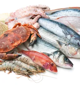 Tipica Trattoria di Pesce a Capodistria