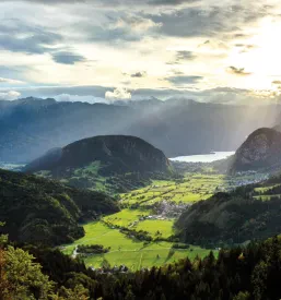 Apartmaji v Bohinju