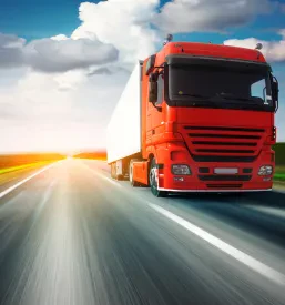 Trasporto internazionale di merci su camion Slovenia, Italia