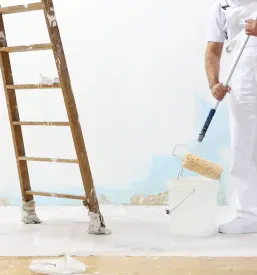 Najboljši slikopleskar Podravska