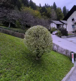 Urejanje okolice Ljubljana, Gorenjska