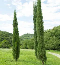 Turistična kmetija v Podsabotinu